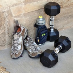 Choosing a Trainer: What is the History and What are the Goals?