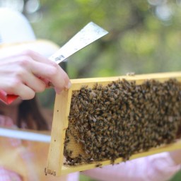 Sweet: Two Hearts Wellness talks with Two Hives Honey