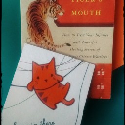 Benefits of Traditional Chinese Bodywork: Tui Na, Health, and You