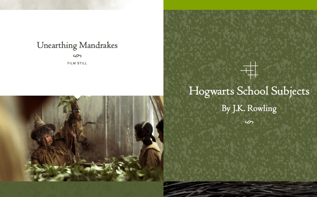 Screen Shot 2017-03-13 at 11.00.34 AM