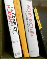 Screen Shot 2017-08-17 at 12.33.13 PM