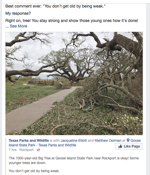 Screen Shot 2017-08-27 at 10.07.53 PM