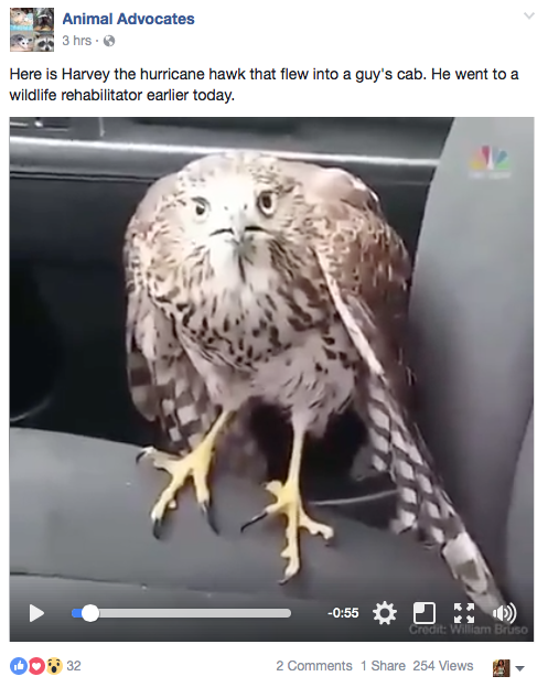 Screen Shot 2017-08-27 at 10.26.29 PM