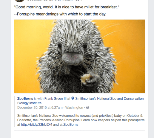 Millet_for_Breakfast