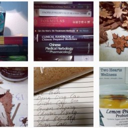 Acupuncturist Credentials: I Just Passed my Last Board Exam and Why it Matters for You