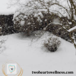 Living With the Seasons According to Chinese Medicine: Strategies for a Happier, Healthier Winter