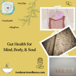 Gut Health for Mind, Body, and Soul