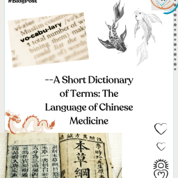 A Short Dictionary of Terms: The Language of Chinese Medicine