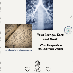 Your Lungs, East and West (Two Perspectives on This Vital Organ)